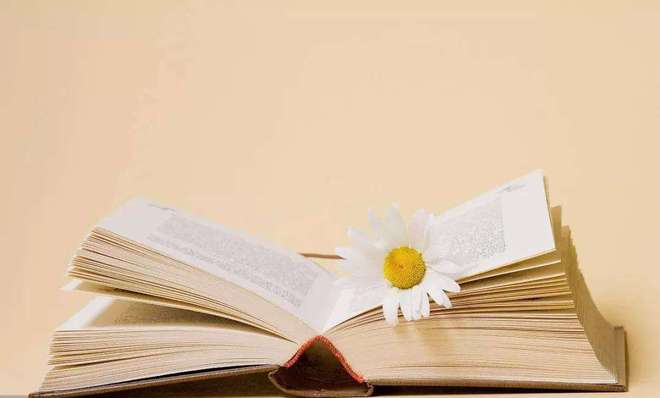 阅读器如何选?高性价比电子书选购攻略PP模拟器墨水屏阅读器护眼吗?二手(图4) 阅读器如何选?高性价比电子书选购攻略PP模拟器墨水屏阅读器护眼吗?二手(图4)